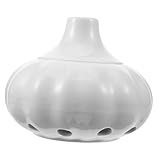 CONGARTENO Knoblauch Vorratsglashalter Knoblauch Aufbewahrungstopf...