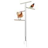 Bexdug Sitzstange Für Hühner | Klettergestell Für Geflügel |...