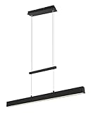 Reality Leuchten LED Pendelleuchte Paros R32043132, Metall Schwarz matt,...