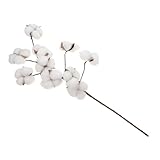 PartyKindom Simulierte Baumwollblüten groß Flora getrocknet Trockenblumen...