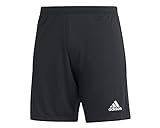 Adidas Herren Entrada 22 Shorts, Black, XL