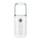 Deni Carte Tragbare Mini Gesichtsbefeuchter Nano Gesichtsdampfer Handliches...