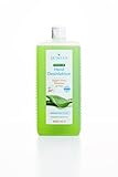 SETASAN premium Handdesinfektion 1.000 ml – Desinfektionsmittel mit Aloe...