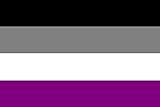 U24 Fahne Flagge Asexuell 90 x 150 cm