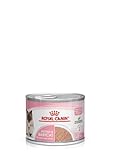 Royal Canin Mother & Babycat Mousse | 12 x 195 g | Alleinfuttermittel für...