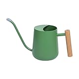 Gießkanne Für Den Außenbereich | 1L Gartenwerkzeug Mit Langer Tülle |...