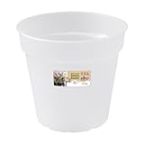 elho Green Basics Orchidee 17cm - Transparent/Transparent