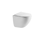 HOGART Wand WC mit Soft-Close Toilettensitz und Leistungsstarkem...