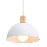 iDEGU Ø20cm Hängelampe Retro E27 LED Hängeleuchte Moderne Skandinavisch...
