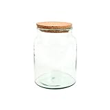 Halboffene Terrarium Flasche Glas 5L Pflanzen Deko Gewächs Haus Blumen...