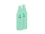Schwarzkopf Taft Föhn-Spray Volumen (2x 150ml), Haltegrad 3, Föhnspray...