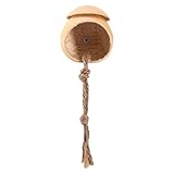 Spinnen Terrarium,Natürliches Holz Terrarium Für Springspinnen -...