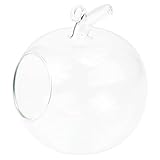 HOMSFOU Dekorative Glasvase als Flaschengarten mit Großer Öffnung...