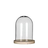 Glockenglas Glaskuppel Glashaube Glas Glocke Glass Dome mit Boden, Ø 12...