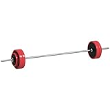 SPORTNOW Langhantel- und Scheibenset 30 kg gesamt mit 6 Gewichten und 2...