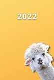 Taschenkalender 2022 A6: 1 Woche auf 2 Seiten, Mini Tagesplaner und...