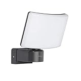 Oktaplex lighting LED Außenstrahler Außen Cali 30W | Wand Strahler IP65...