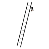 PROREGAL Sprossen-Anlegeleiter 350mm ohne Traverse Made in Germany | 10...