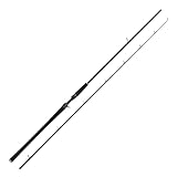 Westin W2 Powercast-T 8'3' / 248cm XH 20-80g - Baitcasterrute, Rute zum...