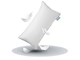 XDREAM Premium Daunenkissen Federkopfkissen | Hülle: 100% Baumwolle |...