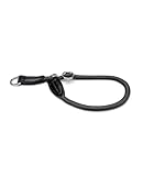lionto Hundehalsband aus strapazierfähigem Nylon für Hundetraining,...