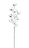 2474U Baumwollzweig weiß ca. 66cm naturgetreu, Trockenzweig imitiert...