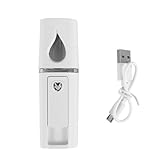 Orolotay Tragbare Nano Gesichts Nebelmacher Mini Gesichts Dampfer...