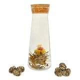 Winoszarnia Blühender Tee 'Gold Ingot' (1er Pack) | Handgebundene Teeblume...