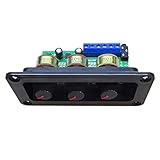 Stytpwra Digitaler Leistungsverstärker Stereo NS4110B Soundverstärker 2 x...