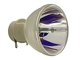 azurano Beamerlampe für OPTOMA SP.78B01GC01, BL-FP220B Ersatzlampe...