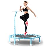 FitinOne 200KG Faltbares Fitness Mini Trampolin Ø 102CM mit Bungee...
