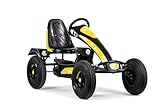 Dino-Cars Edition Black Bee BF1 + Zusatzsitz