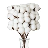 Flewdart 10 Stück trockenblumen Baumwolle Deko Natürlich Trockenblumen...