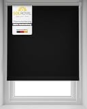 Sol Royal Thermorollo SolReflect T42 Verdunkelungsrollo 80x220 cm Rollo...