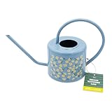 Gießkanne für den Innenbereich mit Gänseblümchen-Design in Blau –...