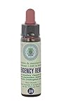 Emergency Remedy Nr. 39 Princeps Original Bachblüten Notfall Tropfen