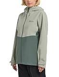 Jack Wolfskin Damen Weiltal 2l Jkt W, Mint Leaf, L EU