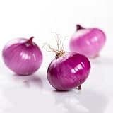 200samen steckzwiebeln kaufen - winterfeste für balkon, hochbeet balkon,...