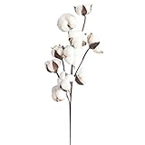 Satiable 1/2/4pcs Simulation Baumwolle Eukalyptus Bouquet Natürlich...
