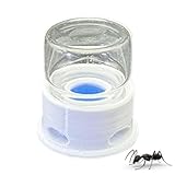Buhygn Transparente Ameisen -Feeder, Insektenhydratation, Grillen...