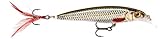 Rapala Unisex-Adult X-Rap Locken, Live Roach, 6cm