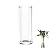 TSKDKIT 30cm Glasvase Gross Klar Glasvase Rund Schmale Vase klarem...