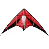 Drache Einleiner Zweileiner Lenkmatte für Kinder ab 3 Jahre bunt Tiere...