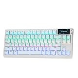 EPOMAKER G84 PRO Kabellose Mechanische Tastatur, 75% Gaming-Tastatur RGB,...