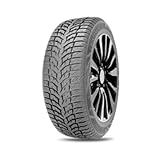 DOUBLESTAR Winterreifen 165/70 R 13 TL 79T WINTERKING DW08 BSW M+S 3PMSF