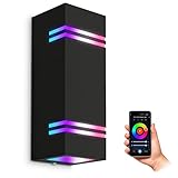 SSC-LUXon JOVO-L Wandlampe schwarz modern IP44 inkl. 2x Smart WiFi RGB GU10...