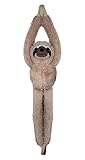 Deluxebase EcoBuddiez Baumumarmer - Faultier 55cm langes Hängendes...