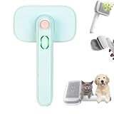 Hemoravoma Hellgrün Pet Ion Brush, Piddipet Ionbrush Ionen...