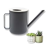 homiez Gießkanne Mug 900ml 0,9l für Zimmerpflanzen/Balkon/Drinnen aus...