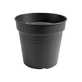 elho Green Basics Anzuchttopf 21 - Growpot für Züchten und Ernten - Ø...